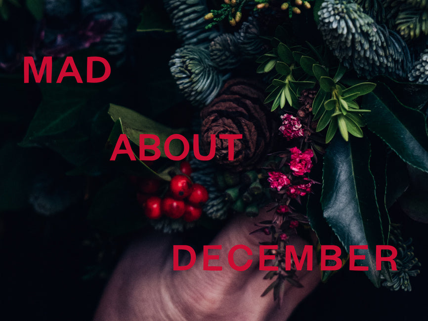The Meaning of December