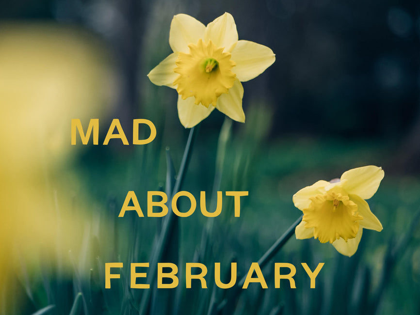 February Notes