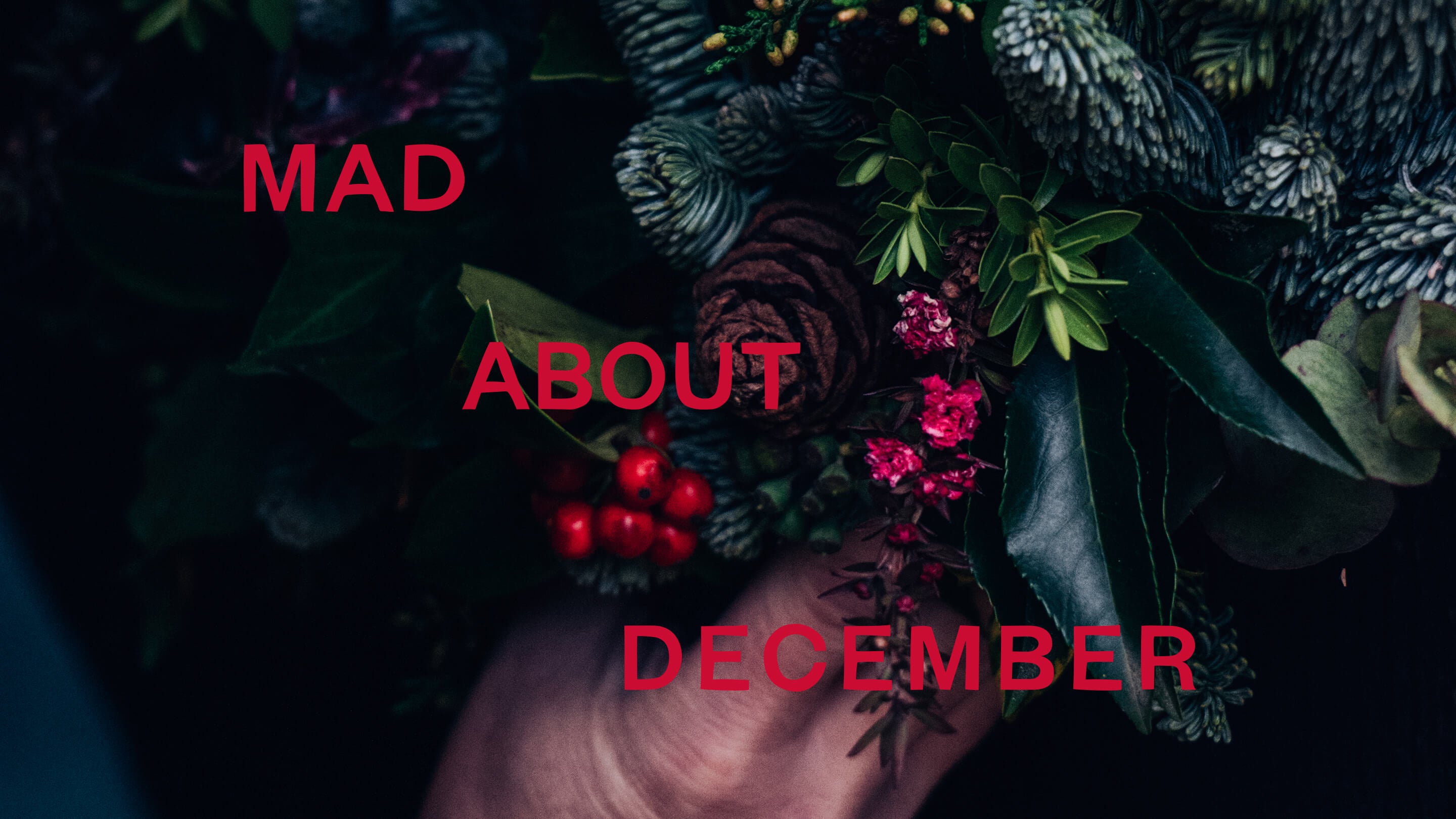 The Meaning of December